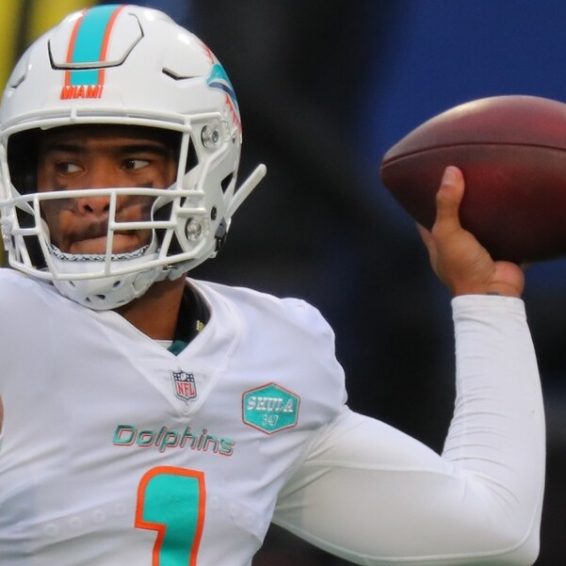 training camp, Dolphins